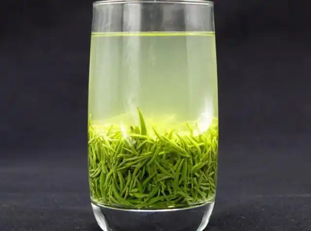 信阳毛尖是绿茶吗(信阳毛尖茶叶的功效与作用)-第1张图片