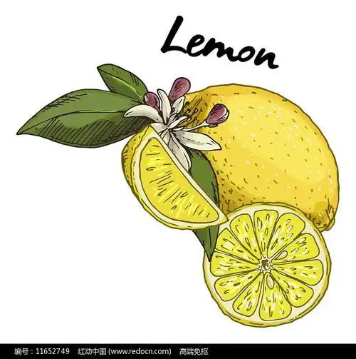 手绘柠檬