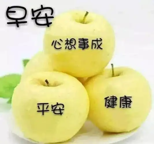 早安问候语幽默-很温馨很漂亮的早上好表情,早安祝福问候语句精选