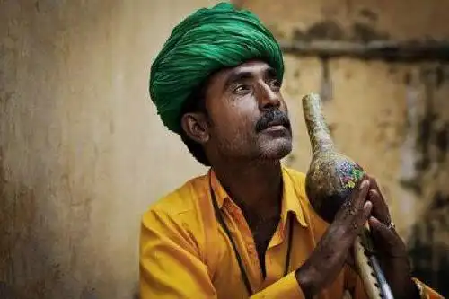 "贱民"中的大多数为被奴役的黑色皮肤达罗毗荼人.