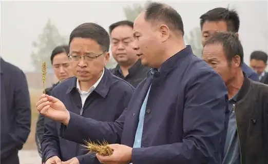 开封市委常委兰考县委书记陈维忠调研指导三夏麦收工作
