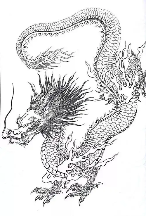 书画鉴赏丨中国龙白描画稿