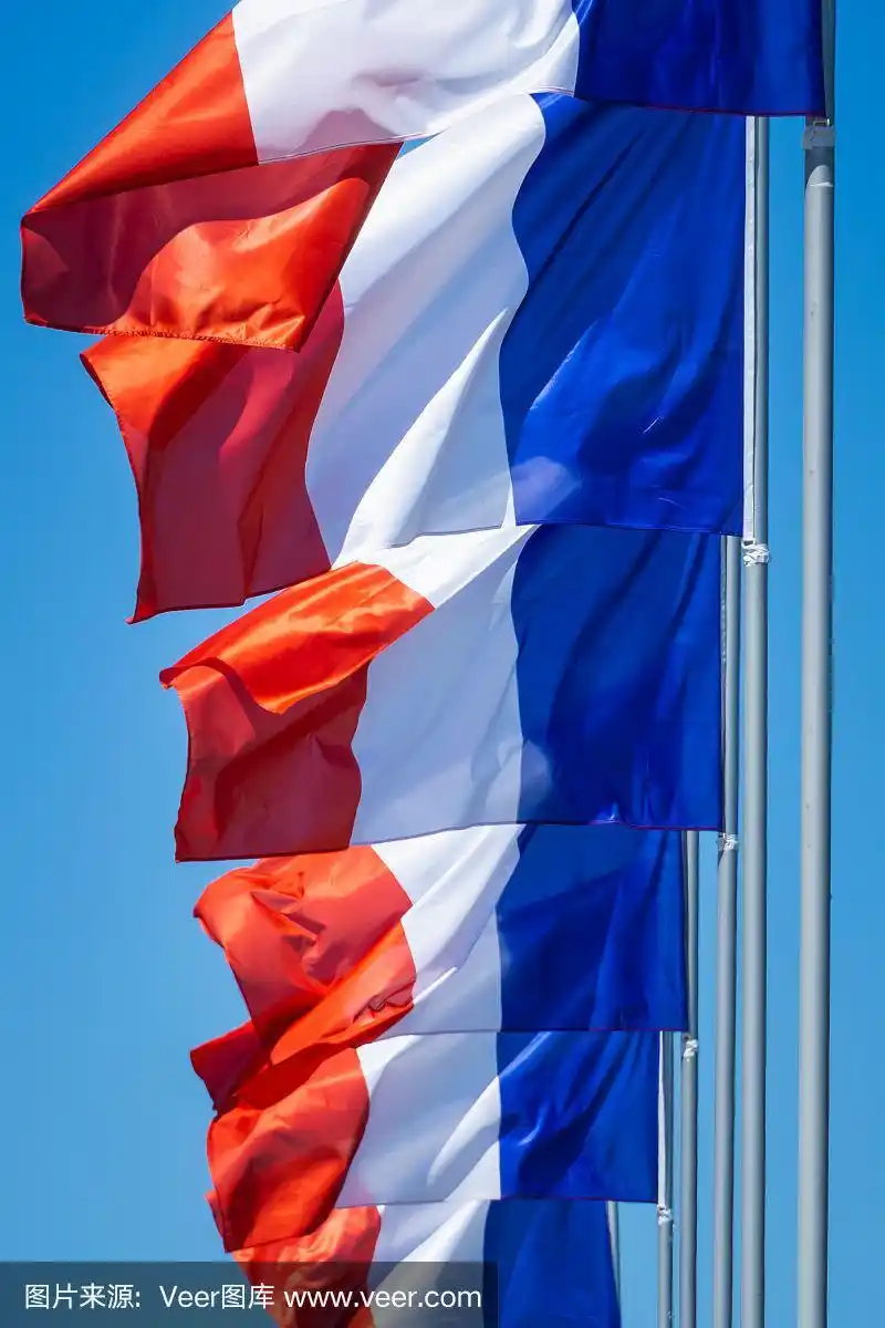 一排法国国旗的特写,在一个有风的晴天飘扬.