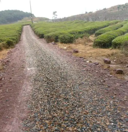 金华市武义县履坦镇郑村