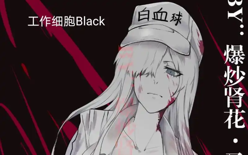 【工作细胞black】白血球