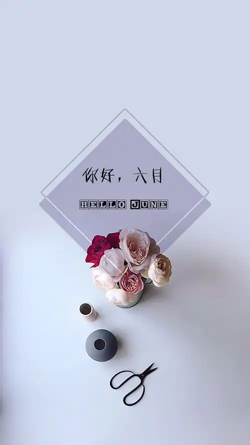 告别,五月,不顺利, 标签:文字图片唯美风景花瓶鲜花唯美文字六月你好