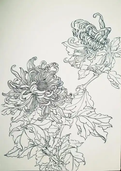 【捌】美兰区美术教师专业提升班第一期(中国花鸟画鉴赏与技法表现)第