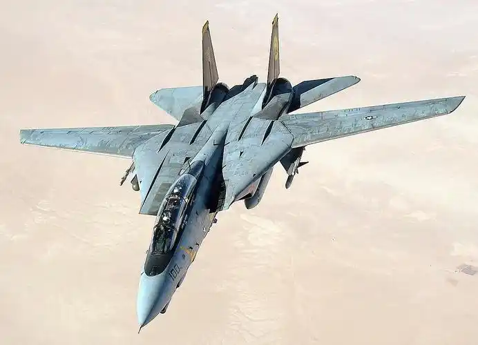 f-14"雄猫"战斗机