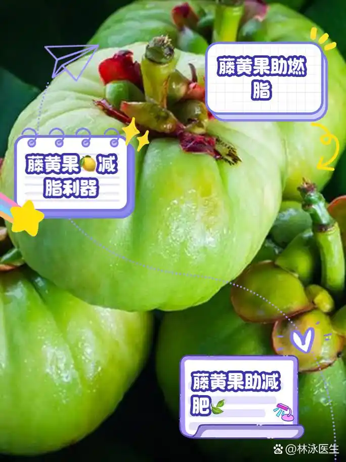 今天,就让我来给大家详细剖析一下藤黄果的功效与作用,带你一起探索