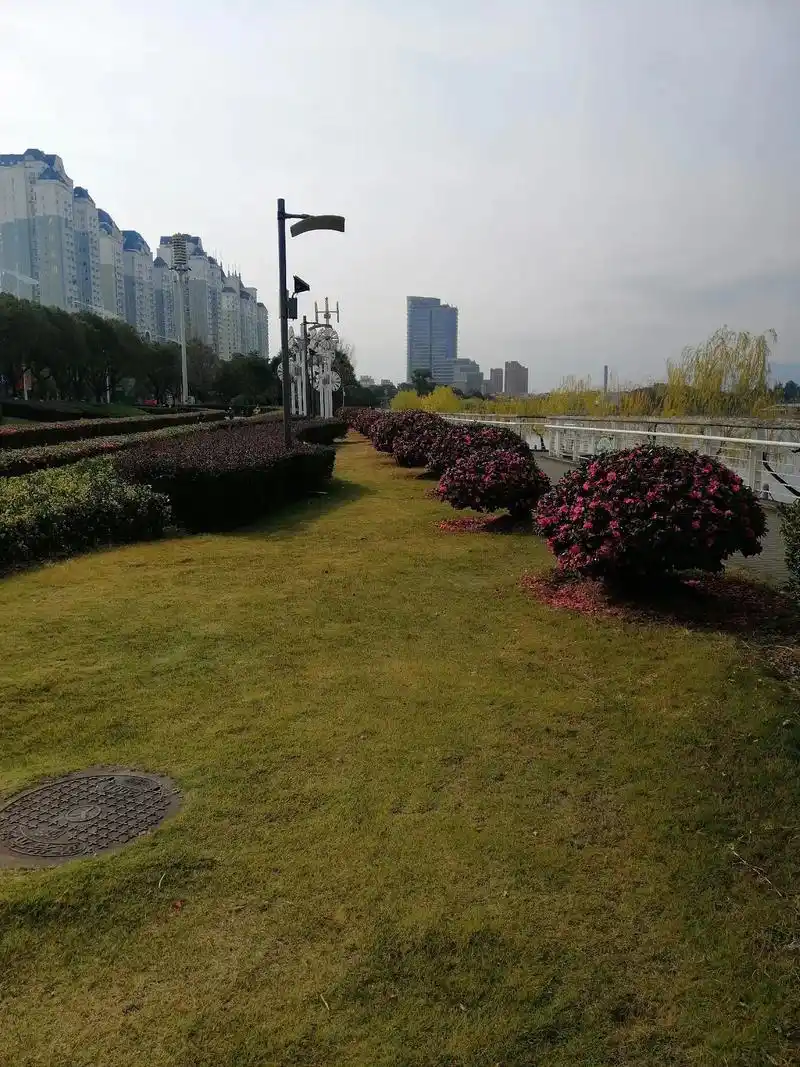 浙江省台州市黄岩区江口街道上辇村! - 抖音