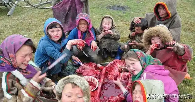 茹毛饮血茹毛饮血解释和意思