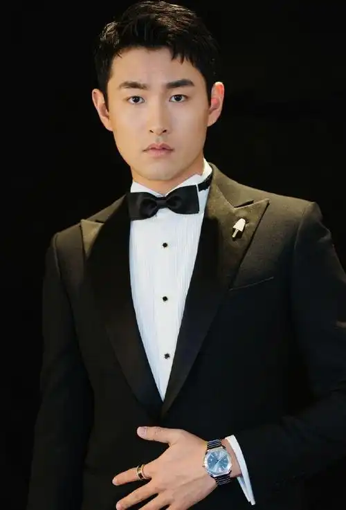 关于姓王的男明星的配图及描述