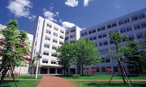 札幌的大学