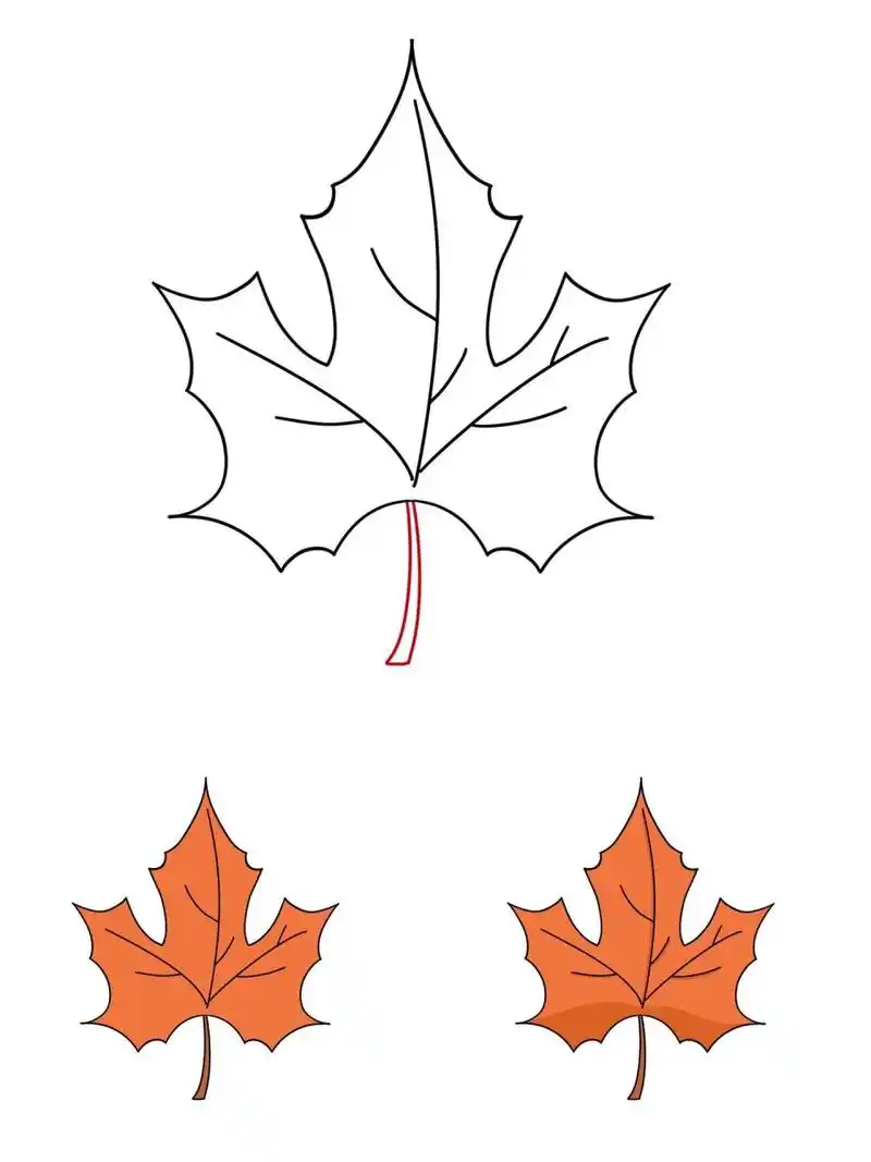 枫叶简笔画      简笔画教程