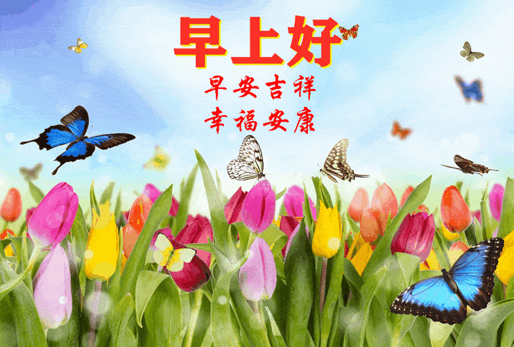 9月9日周四清晨问候暖心祝福语短信星期四最新早安问候语动态图片表情