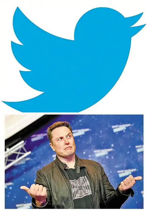 马斯克暂搁置收购twitter 称验证假账户数目需时