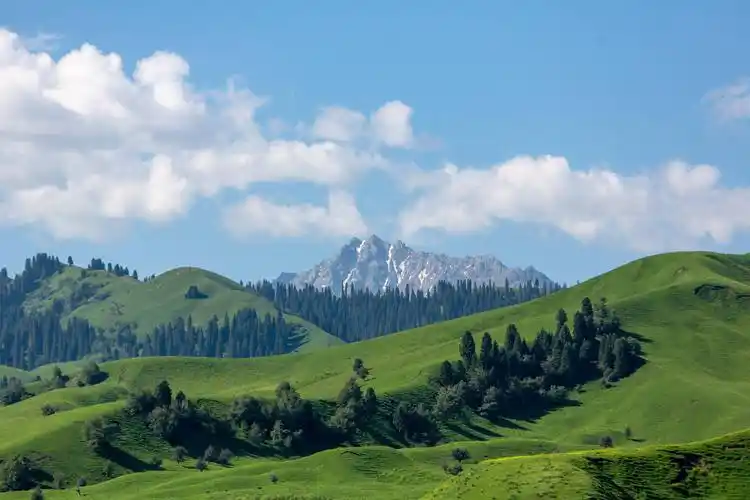 美丽的新疆,美丽的伊犁,美丽的那拉提_草原_江南_地方