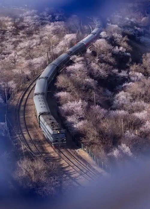 火车在春天里驶过