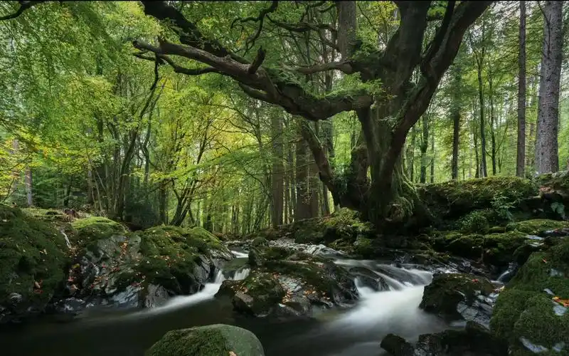 【4k风光纯享】治愈系风景-爱尔兰风景如画莫恩山脉 2160p