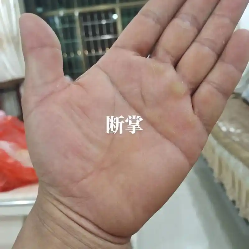 男人断掌值千金!道听途说骗人言.劳累奔波一生苦.佛渡众生皆平 - 抖音