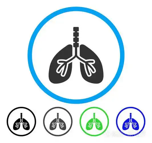 呼吸系统圆形的矢量图标