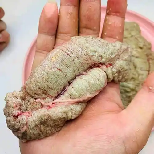 李芹活鱼 商用批发 新鲜鲤鱼鱼籽 春季鲤鱼鱼蛋鱼白 冷链配送