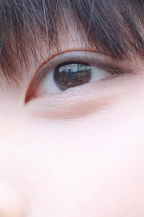 美丽的眼睛里装着美丽的人们