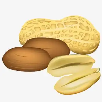 花生卡通图素材_花生卡通图图片元素-觅元素