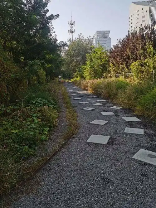 规范展春园西路共享单车停车秩序巡查学院桥周边巡查清华东路西口地铁