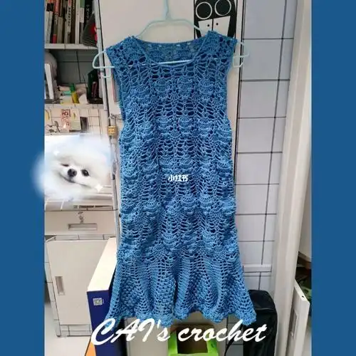 no66钩针菠萝花裙附图解