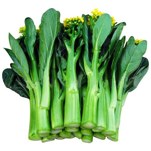 广东四九菜心种子抗热菜苔青菜种籽春季夏季四季播大全盆栽阳台孑