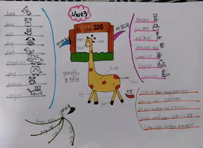 三年级下册英语思维导图
