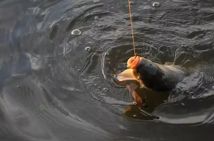 简单几招做到有的放钩不枉此行