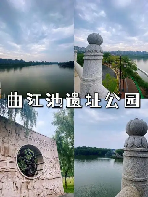 遛弯的好地方61曲江池遗址公园74