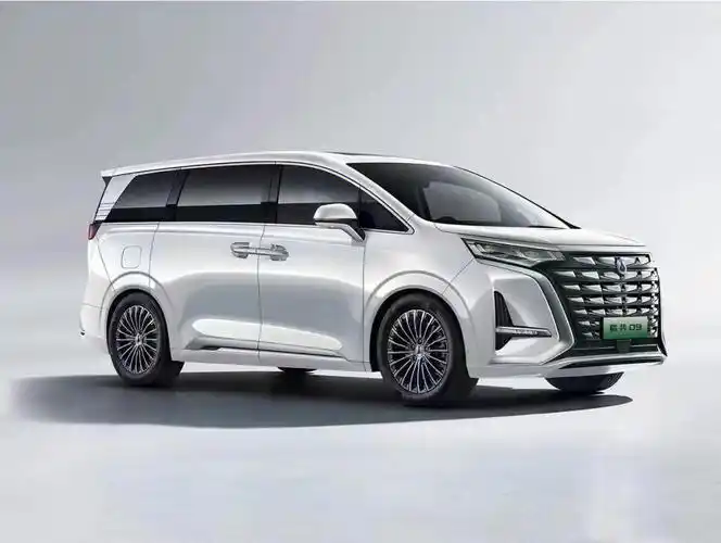 新高端mpv能源豪华车