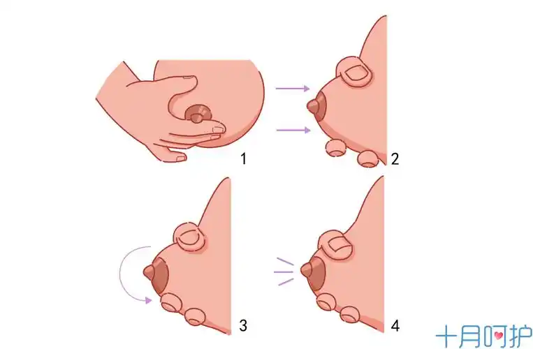 同是母乳喂养,为何佟丽娅的身材会如此好呢?