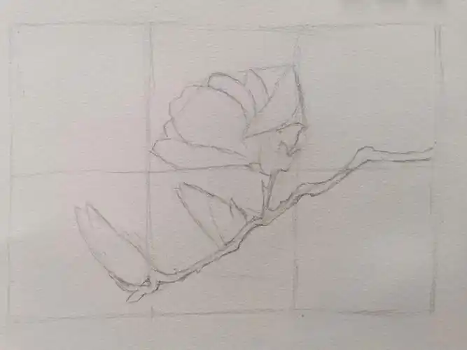 素描画  #素描  #零基础素描  #素描静物