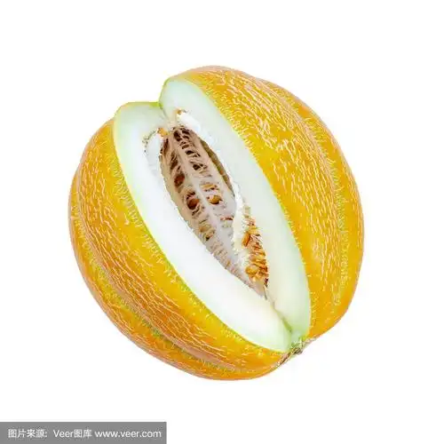 大条纹成熟的黄色甜瓜与切块特写孤立在白色的背景