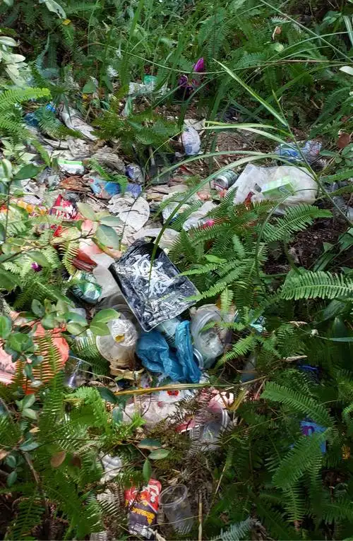 义务捡拾白色垃圾 共创美丽绿水青山—纪委监察室及内审科党支部与