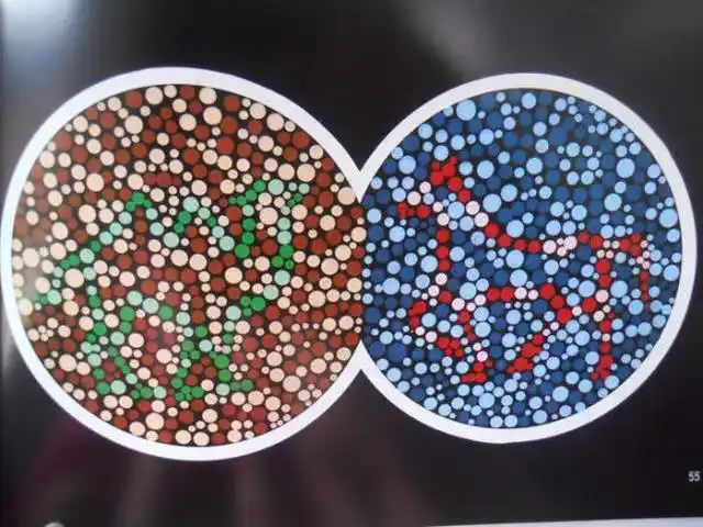 4张动物版色盲检测图若图2识别不出来驾照可能就别想了