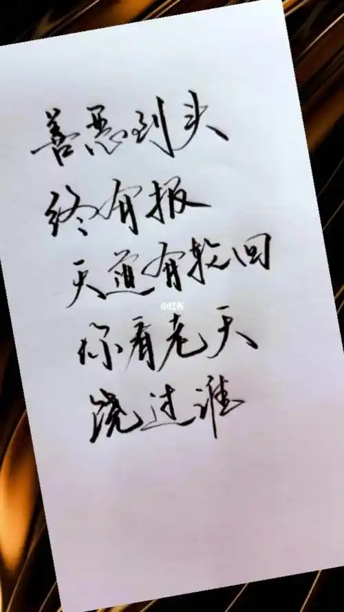 善恶到头终有报天道有轮回苍天饶过谁