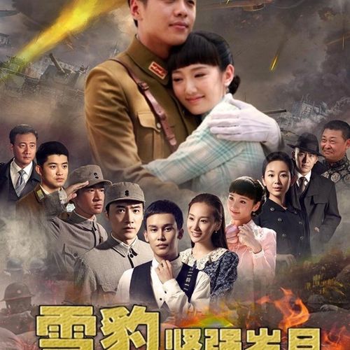 32g优盘720p超清电视剧《雪豹坚强岁月》张若昀46集tf内存卡u盘