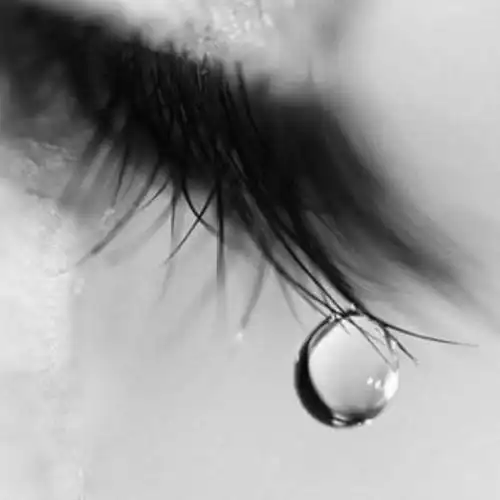 或许都有着一副面具!掩藏起自己的懦弱,掩藏起自己的心情!