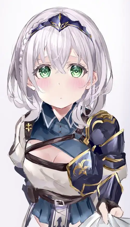 白银诺艾尔推特图20张