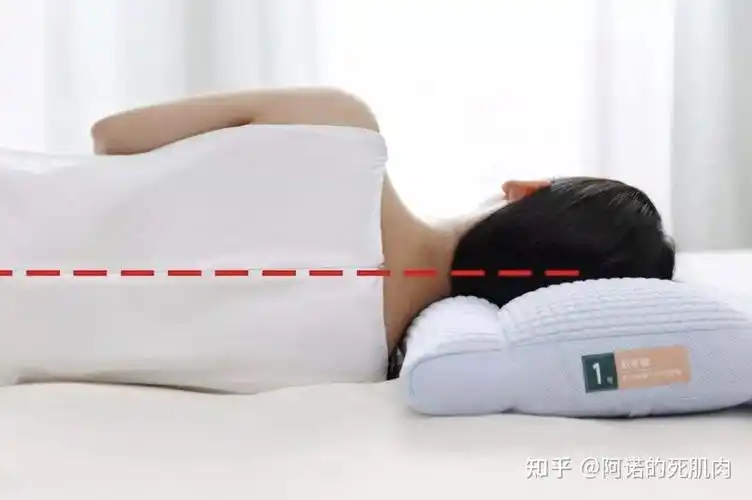 不同的睡姿对身体的影响,腰椎间盘,胸椎,肩膀都在这