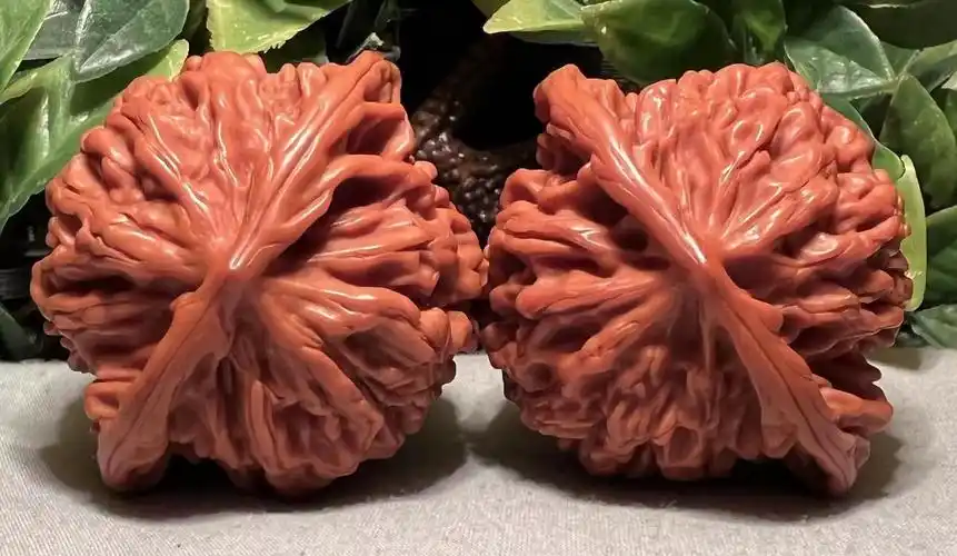 边肚高474140mm盘龙纹文玩核桃