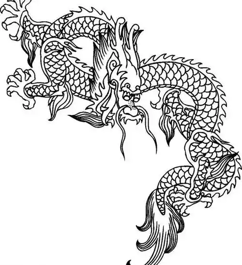 霸气的中国龙的简笔画怎么画简笔画龙的简笔画龙怎么画美术图片美术