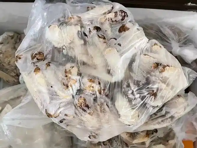 无需解冻 就建议直接下锅煮 解冻时间过长会导致松茸变质 所以不建议