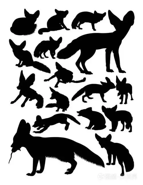 芬纳克狐狸动物剪影.