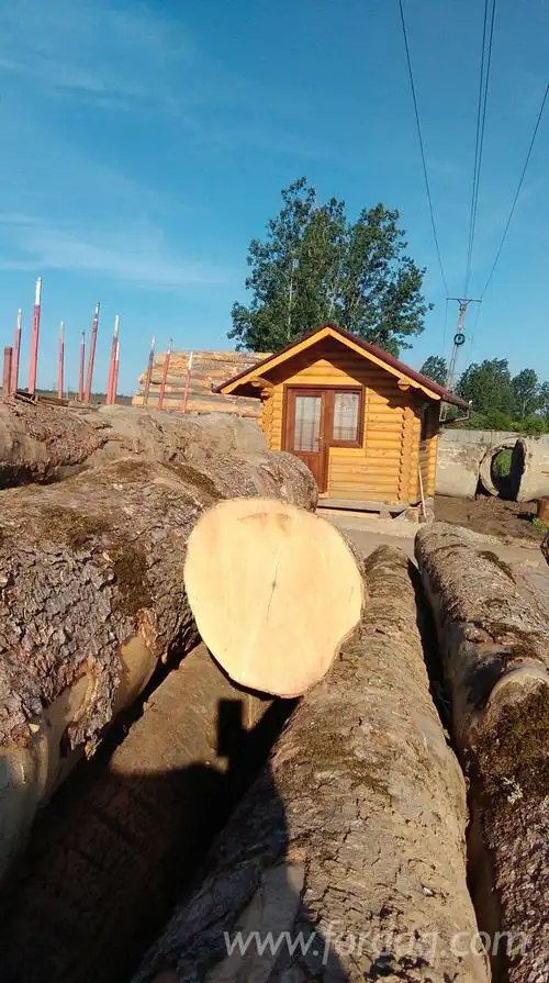 锯材级原木, 枫木(欧洲普通枫木)